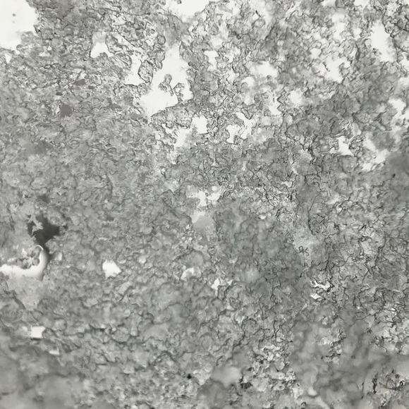 Meet your Posher, Tea - Picture 4 of 4